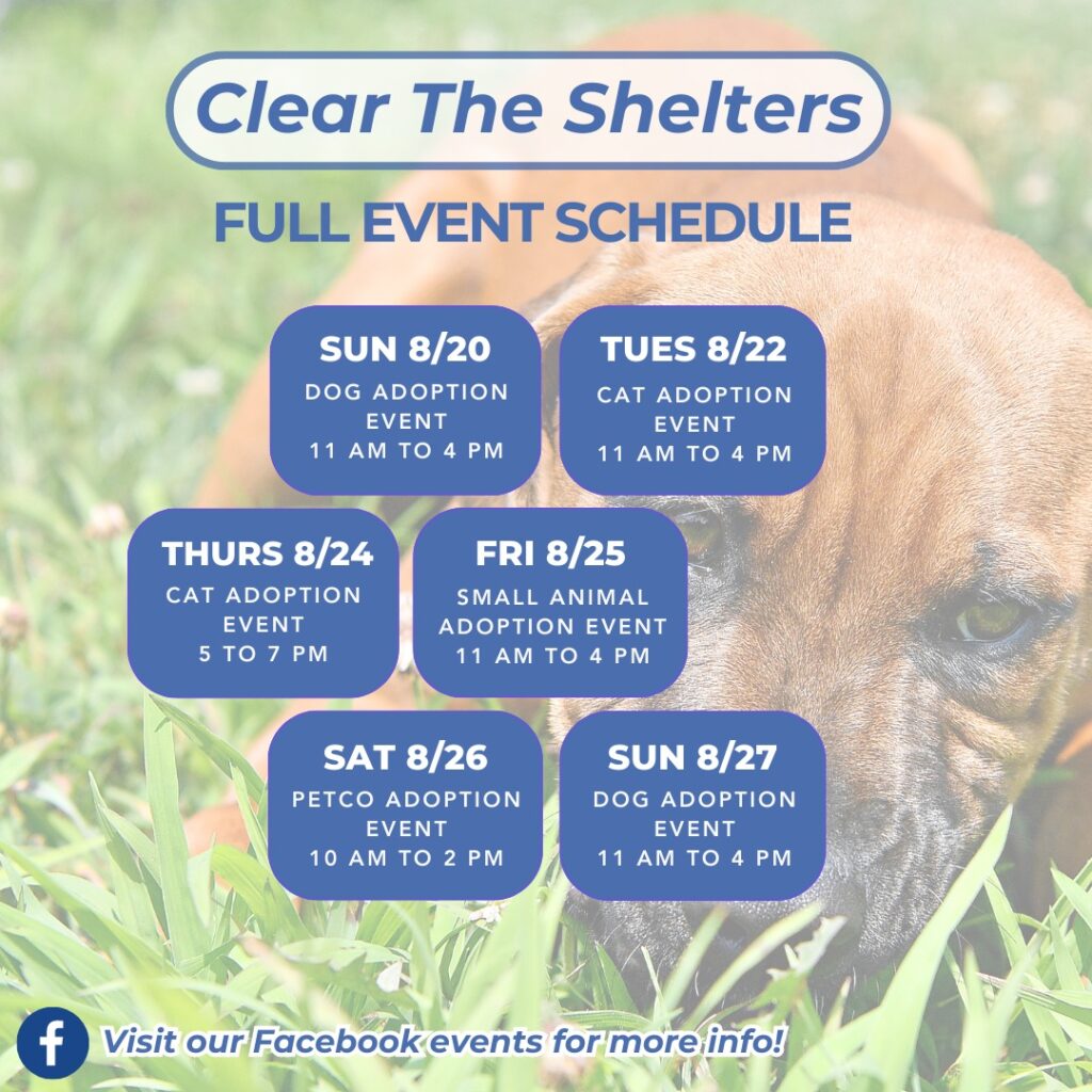 ABC27 Clear the Shelters 2023 Cover