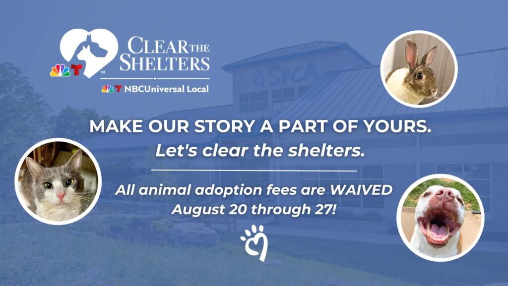 PA Homepage Clear The Shelters Cover