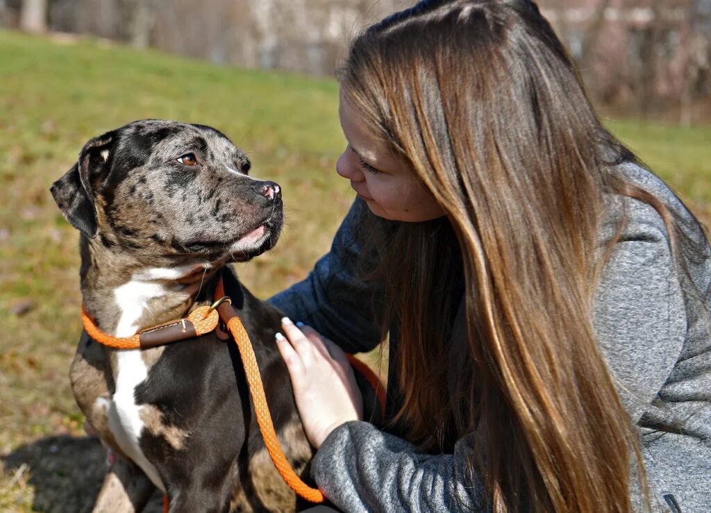 York Dispatch New Year Adoption Event Cover