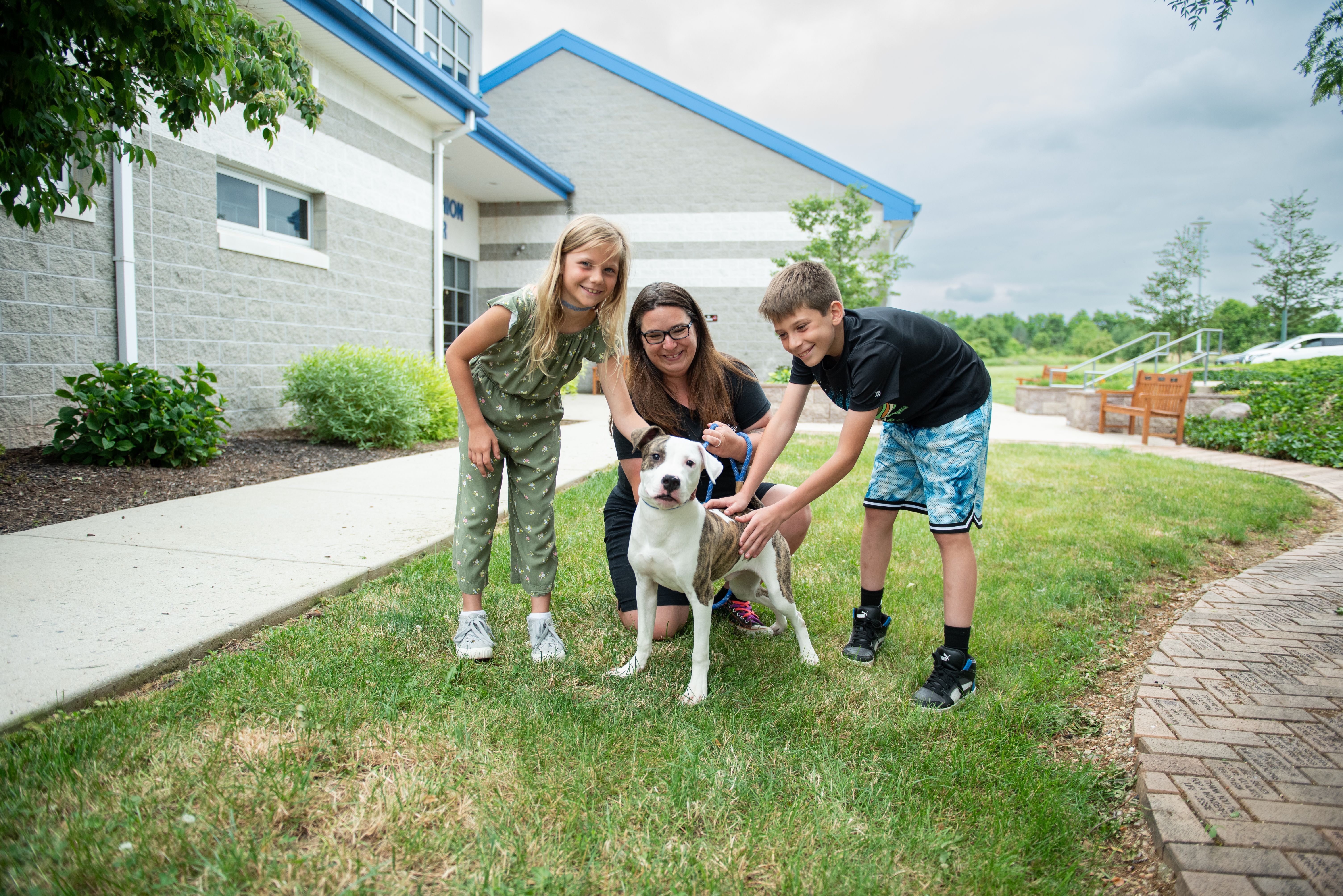 a group of people petting a dog