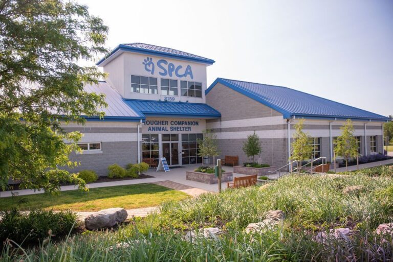 a building with a blue roof