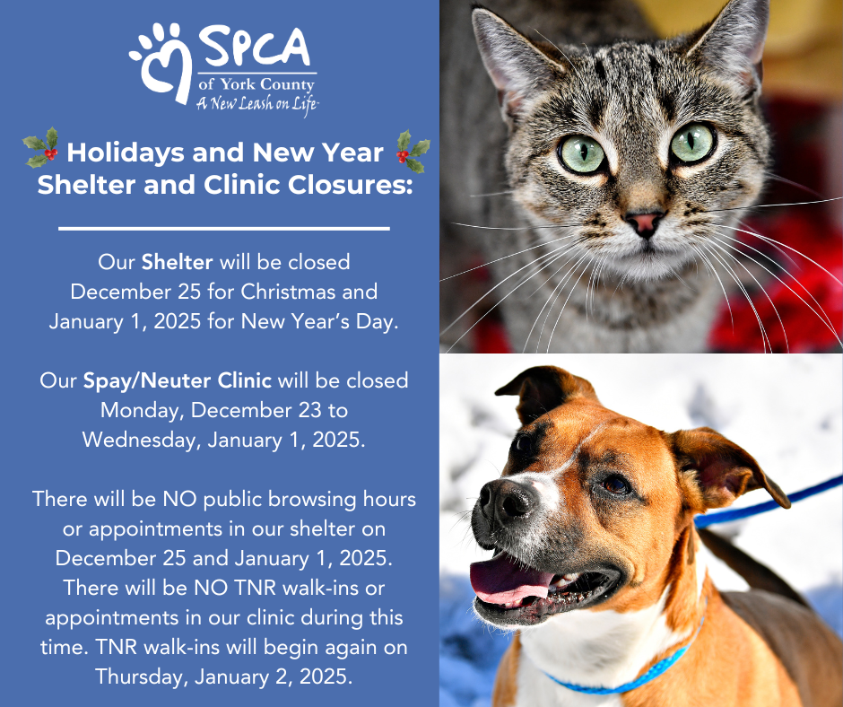 Holiday Season Closure Announcement 1