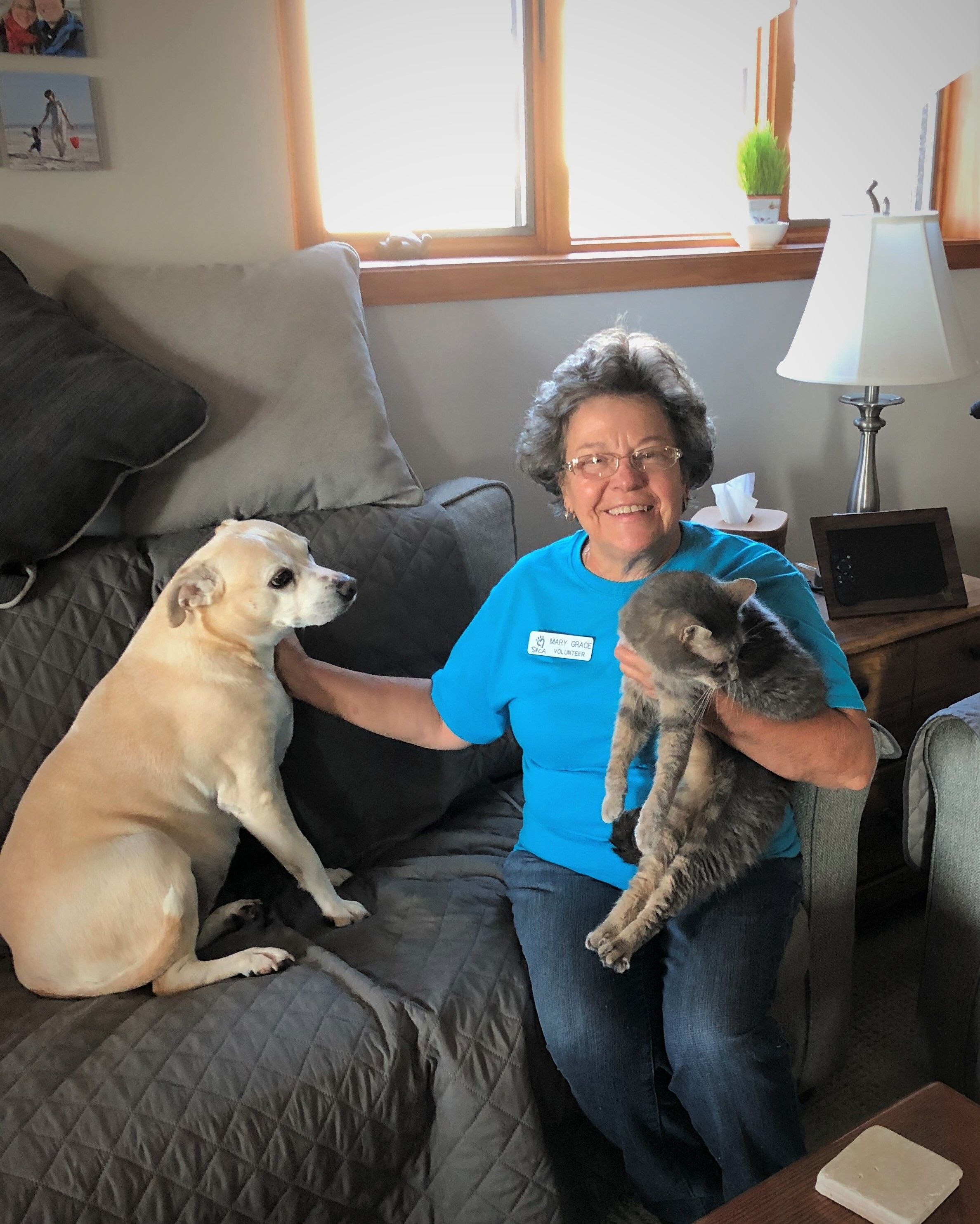 a woman holding a cat and a dog sitting on a couch