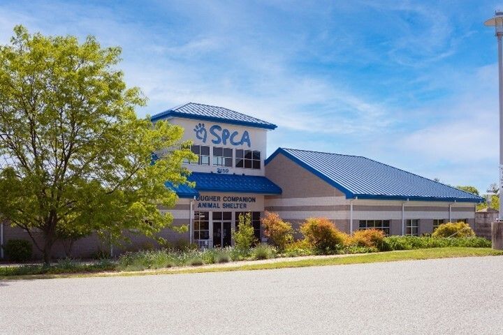 a building with a blue roof