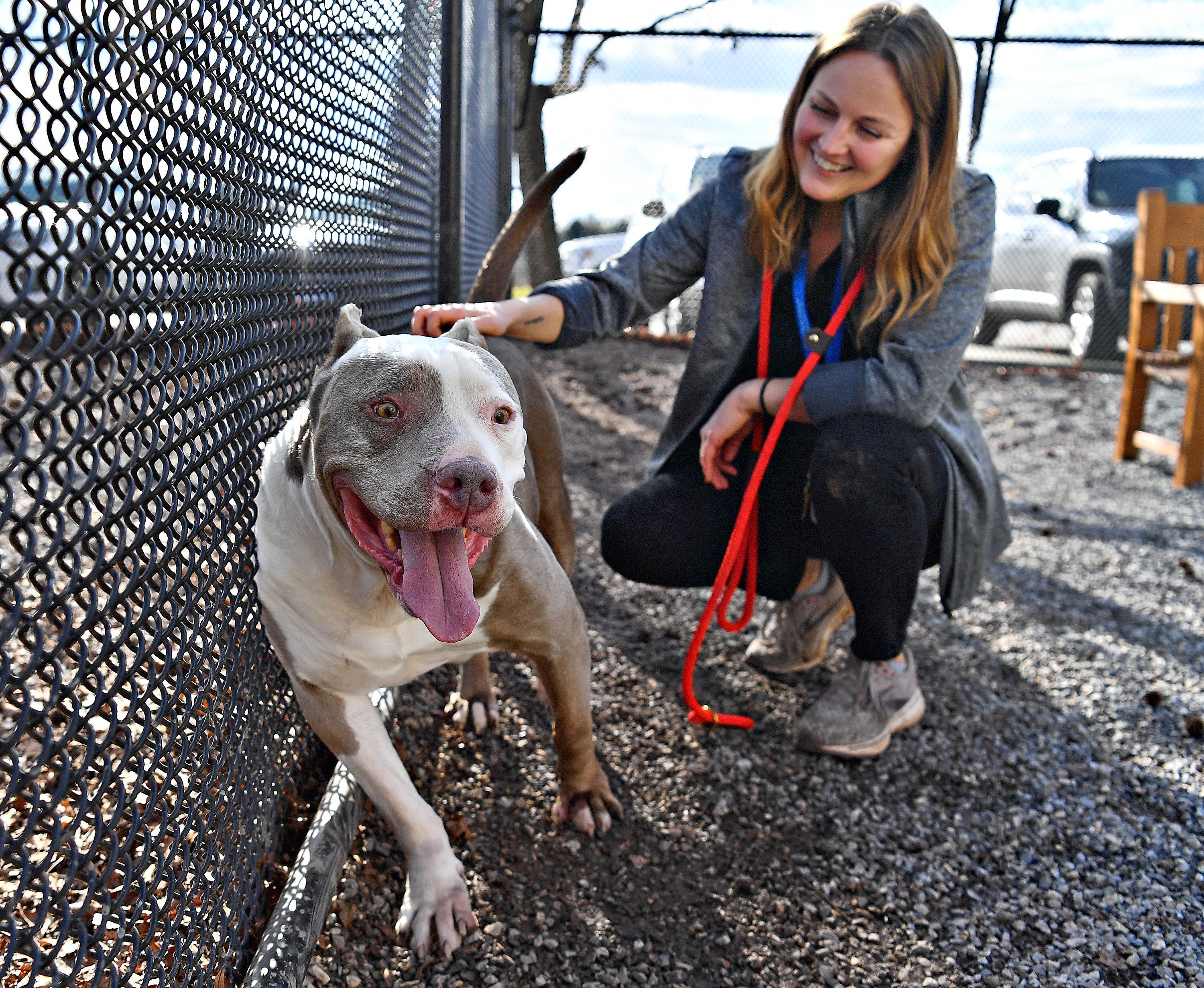 a woman petting a dog