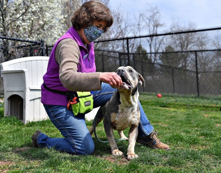 a woman kneeling on grass with a dog