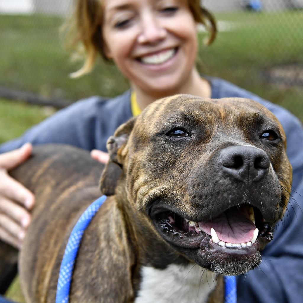 a woman holding a dog