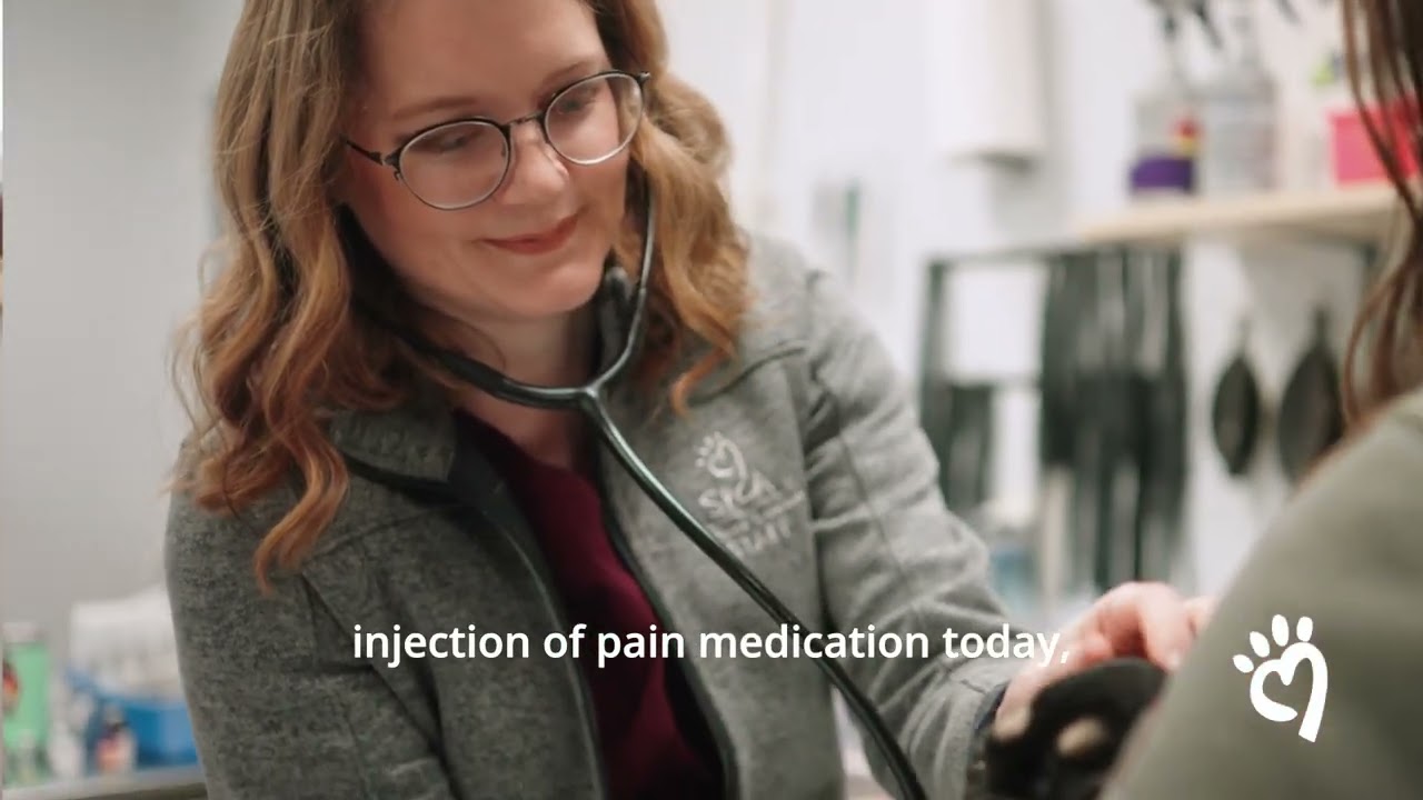 a woman wearing glasses and a stethoscope holding a cat