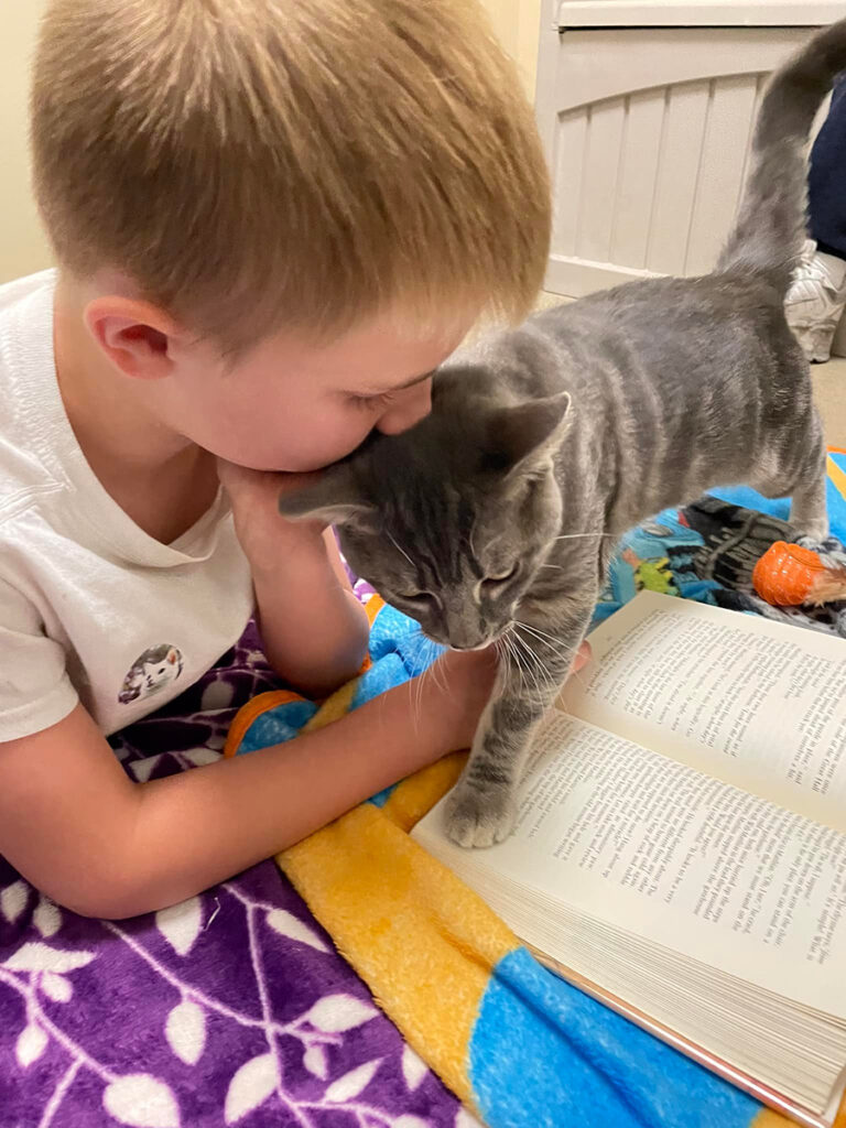 a boy kissing a cat on his cheek