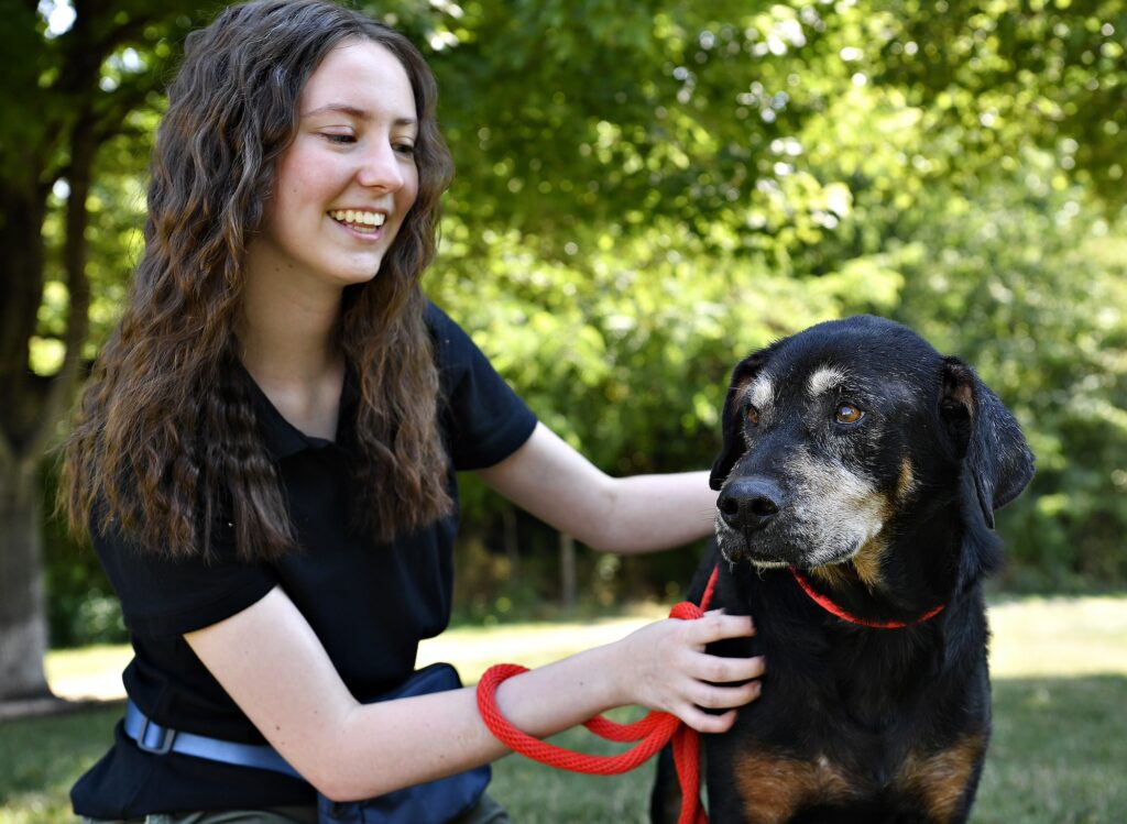 a woman petting a dog