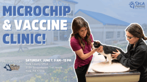 Website Banner Microchip Vaccine clinic 6725