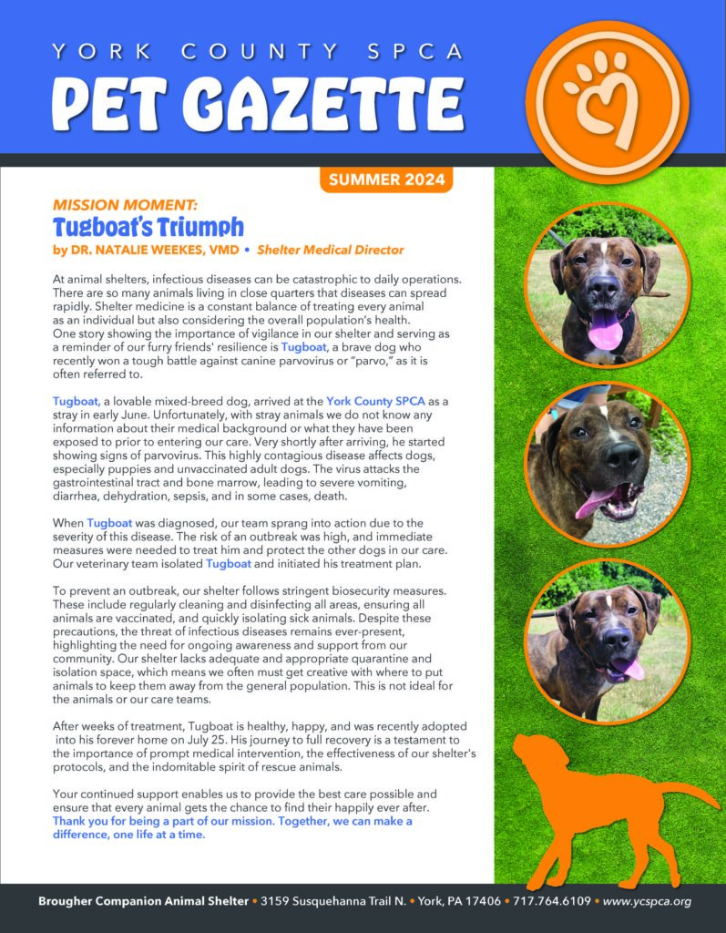 Dog rescue success story featured prominently