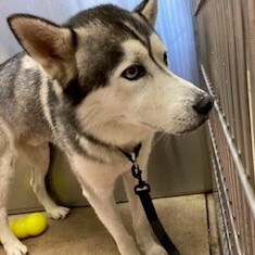 22970272e85cb91facc27e1cf696f884