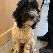 bc6593e827f68750ebc08352edcc6c43