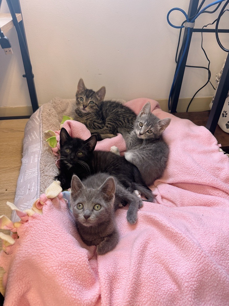 c836a58e 069e 49aa a6da 144fec03317b