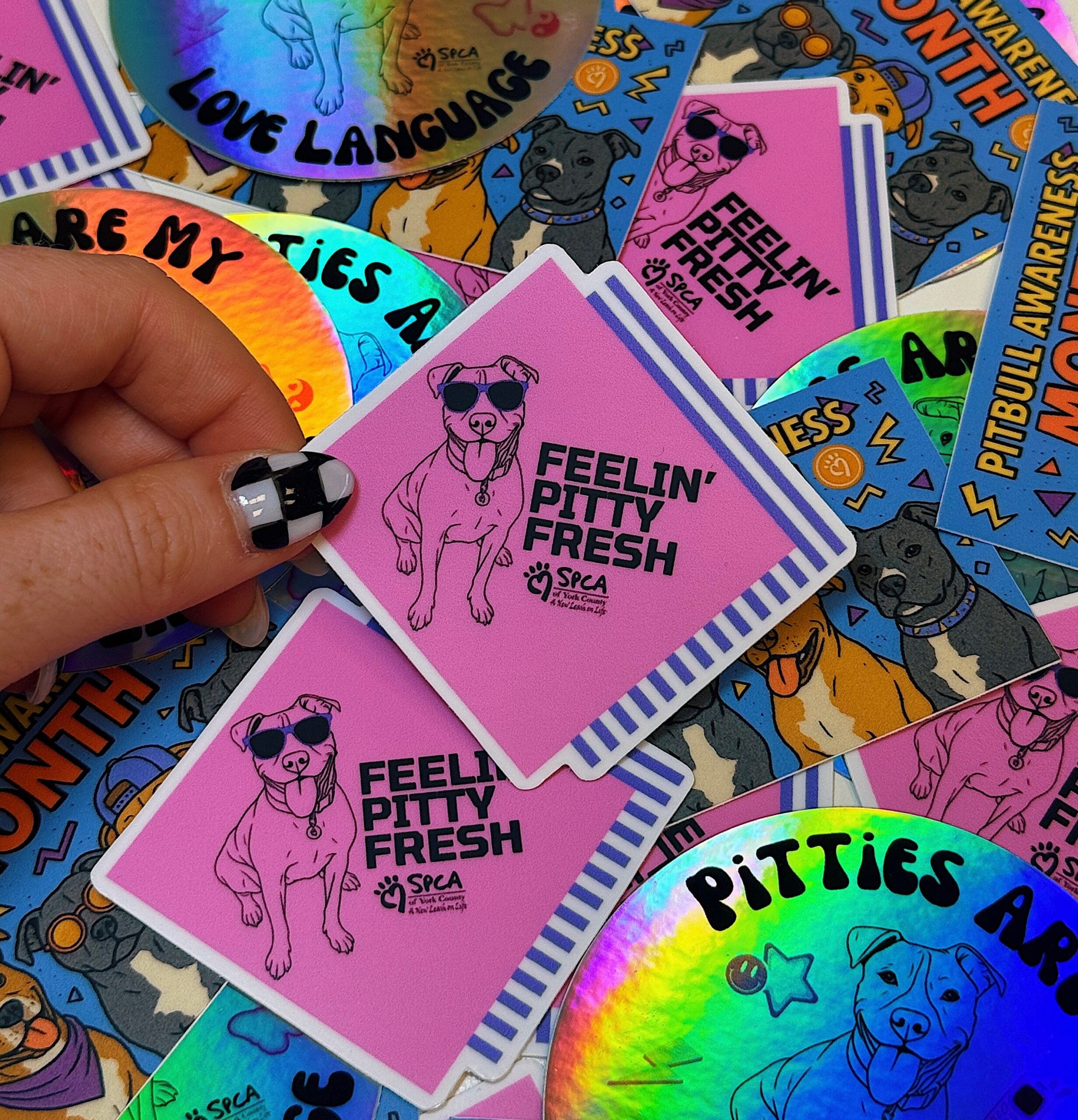 Colorful stickers featuring pitbulls and slogans