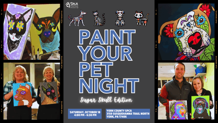 Pet-themed painting event announcement.