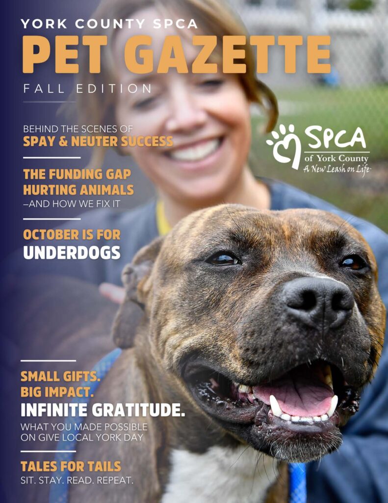 Dog featured with SPCA information.