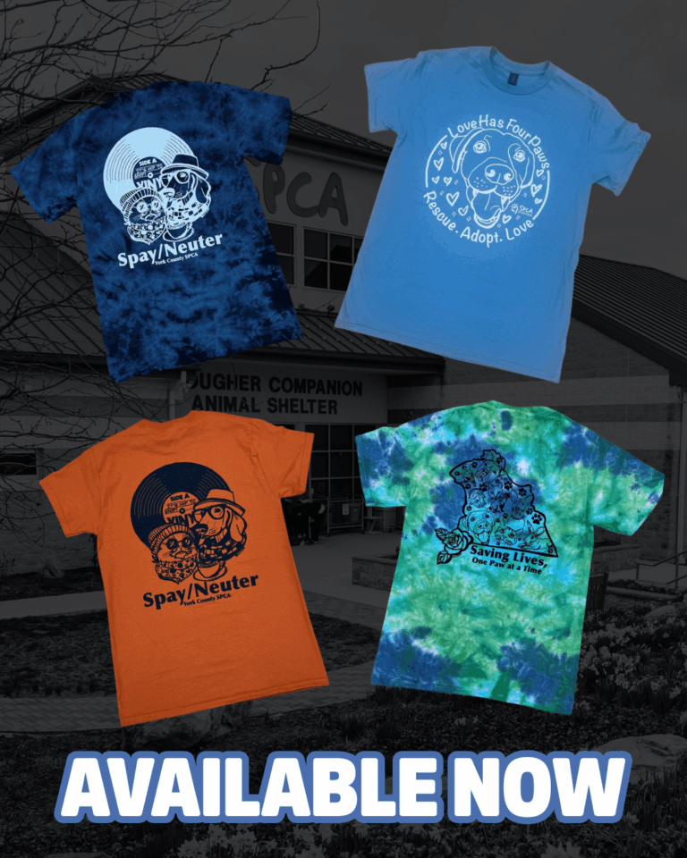 Colorful animal rescue t-shirts available