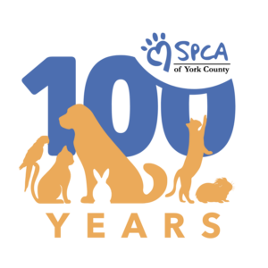 100th Anniversary Color Vertical