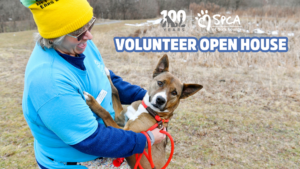 Volunteer Open House