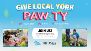 Website Banner 2026 GLY Paw ty