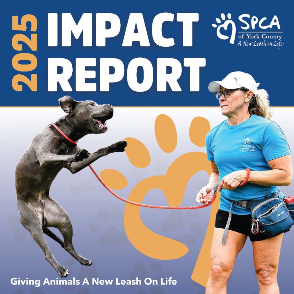 IMPACT REPORT COVER 2025