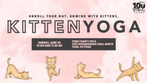Website FB Event Kitten Yoga June 2026