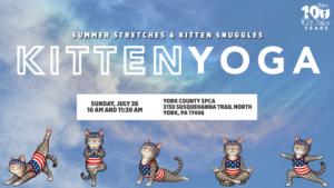 Website FB Event Kitten Yoga July 2026