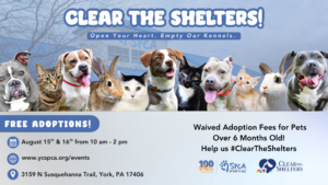 WebsiteFB Event Page Clear the Shelters 2026