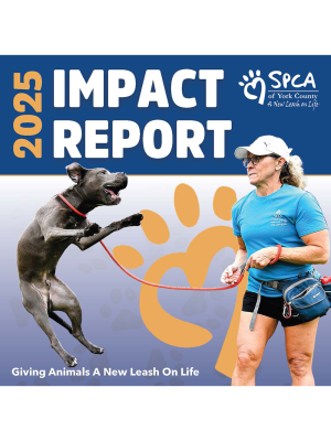 2025 Impact Report Final clear rnw9c93n2cpe6gltpuvufe1zqzbqjobrn6c6s8r6ow